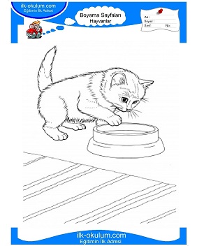Kedi Boyama